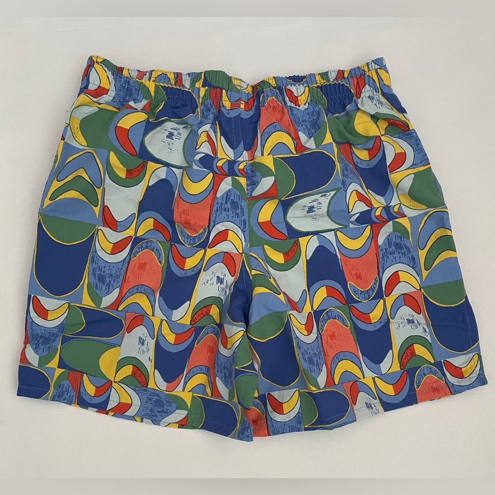 NWT Patagonia Baggies 5" Shorts - Boys' Size M / 10 SP25 Lined Water